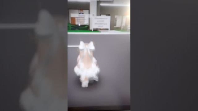 бесим людей в брокхевене если хотите больше видео с блокхэваном пишите в комментариях смотреть онлайн