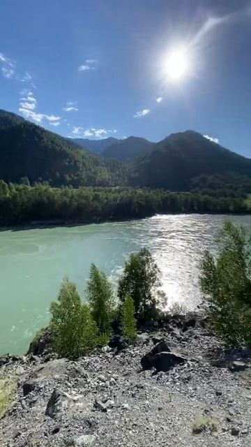 Горный Алтай🏔🌲 смотреть онлайн
