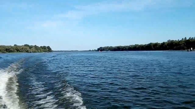 Остров. Улов. Накормили няшных щенят и осу. смотреть онлайн