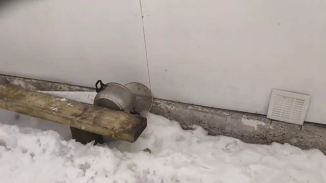Давайте поиграем Сане с Милкой. Мы нашли склад еды для собаки. смотреть онлайн