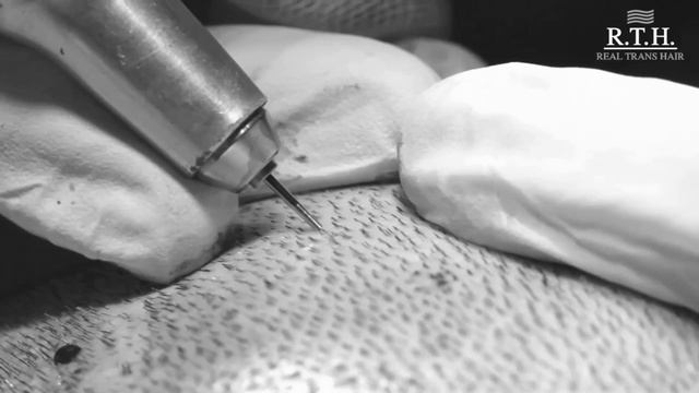 Что такое панч? смотреть онлайн