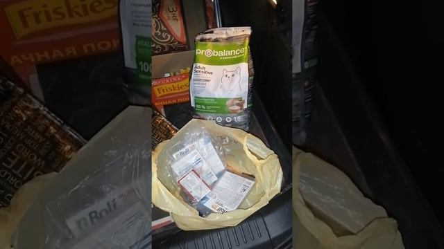 Подарки для кошек и не только 15 09 смотреть онлайн