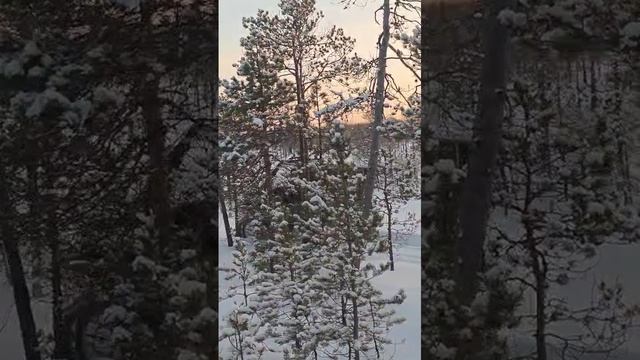 CRONOS. Покатушки с уазиками по болоту 01.2025 смотреть онлайн