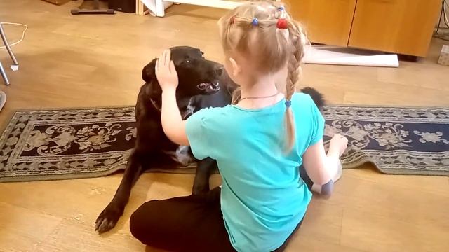 Издательство над Чаком. 😄😄😁😁😂😂🤣🐩🎥🏳️🌈🏳️🌈 смотреть онлайн