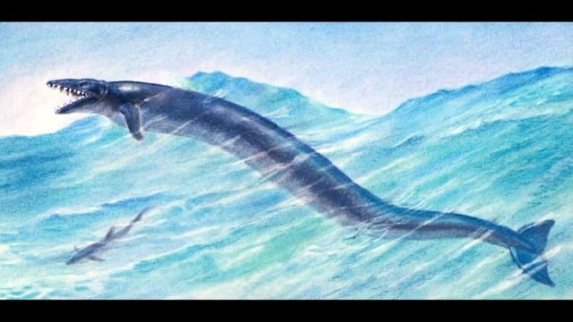 The History of paleoillustrations:Basilosaurus смотреть онлайн