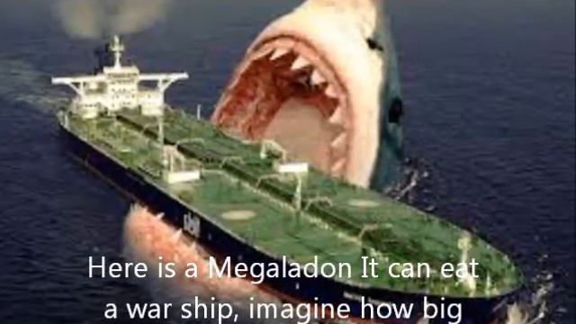Megaladon documentary смотреть онлайн