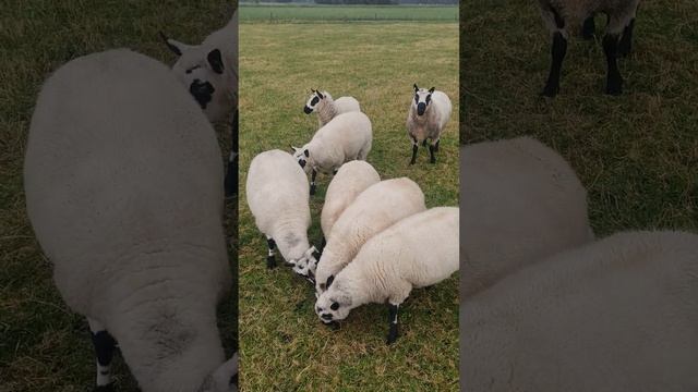 kerry hill смотреть онлайн