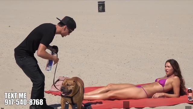 Dog PEEING on People PRANK смотреть онлайн