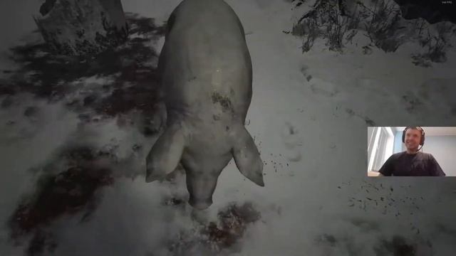 Кто хрюкает?? смотреть онлайн