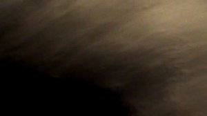 #ОккупайПедофиляй Тесака облили мочой