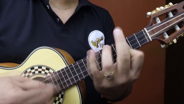 A pureza da flor | Revista Online Cifras Nº 09 | Michel do Cavaco смотреть онлайн