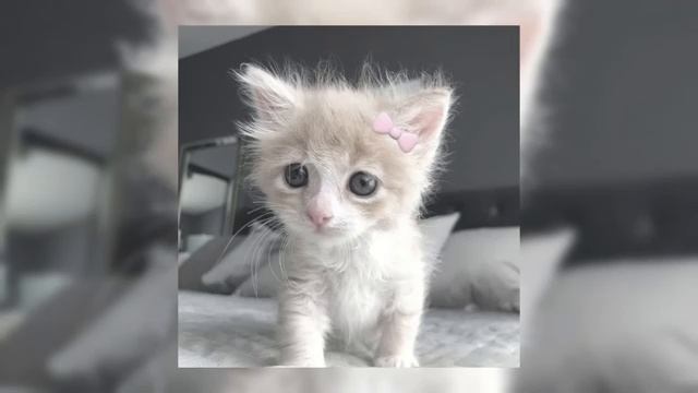 🎧плейлист крутых песен с зимним вайбом🎧 (speed Up)