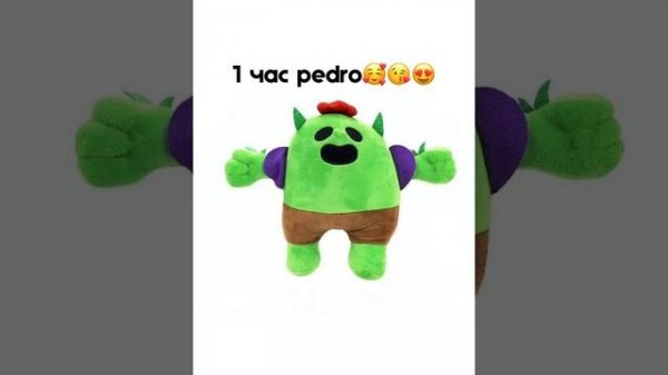 1 час pedro pedro (енот из тик тока)