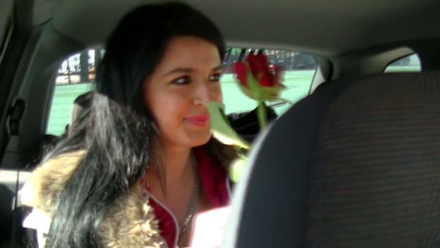 Halo Taxi Zrenjanin čestitao damama 8. Mart смотреть онлайн