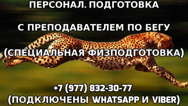 Персональная подготовка с преподавателем по бегу +7 (977) 832-30-77 смотреть онлайн