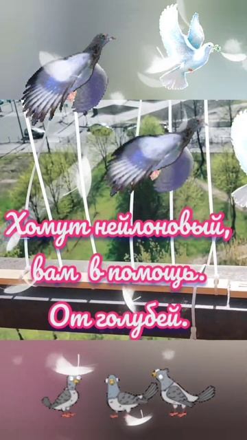 Как избавиться от голубей с балкона. смотреть онлайн