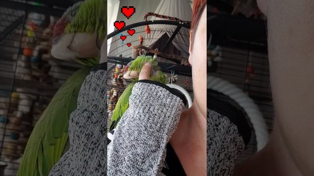 Неженка смотреть онлайн