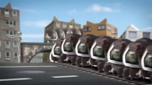 Welcome to Kitty City 1 hour