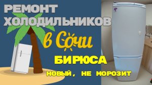 Холодильник Бирюса новый не холодит