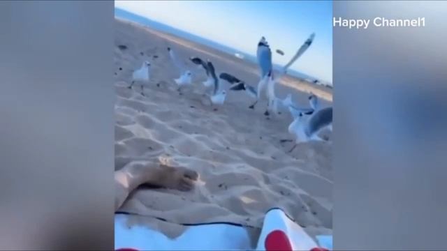 ПОПРОБУЙ НЕ ЗАСМИЯТЬСЯ