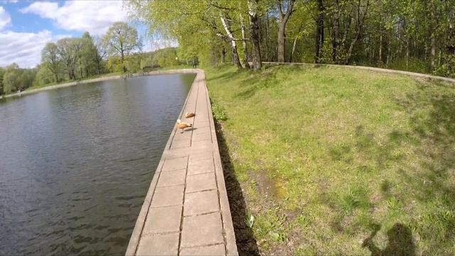 Влог: Уже неинтересно... / Непонятная прогулка / Мысли вслух смотреть онлайн