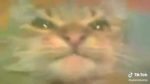 Кит ты маму мав? смотреть онлайн