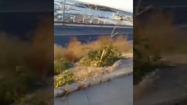 Болгария Созополь дорога на пляж Золотая рыбка и в другие города в Черноморец и в Бургас(3) смотреть онлайн