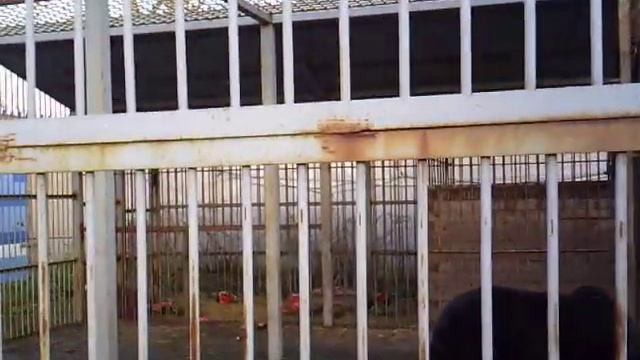 12 lIVE ЭКСПРЕСС 281018 смотреть онлайн