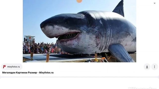 кто такой мегалодон информация о megalodon. Поставь лайк и подпишись если панравилось смотреть онлайн