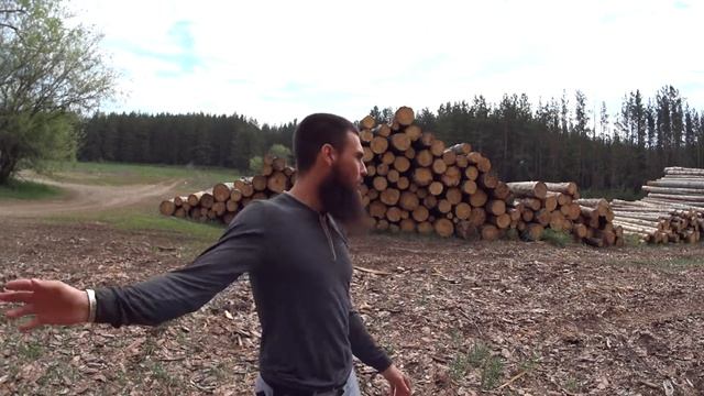 караед смотреть онлайн