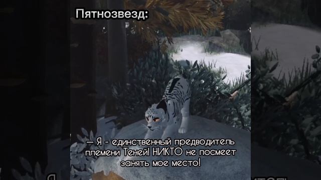 Пятнозвездик,ты хорошо подумал?)) #warriorscats #blueberry #котывоители смотреть онлайн