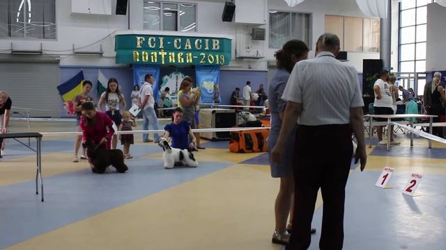 Полтава 7.07.2019. Сравнение на ВОВ) смотреть онлайн