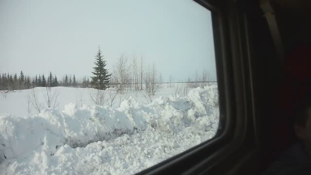 "Полярная стрела". Поезд №21 Лабытнанги - Москва смотреть онлайн