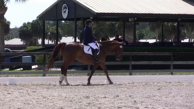 Donzer and Tara PSG 2018 Day 1 смотреть онлайн