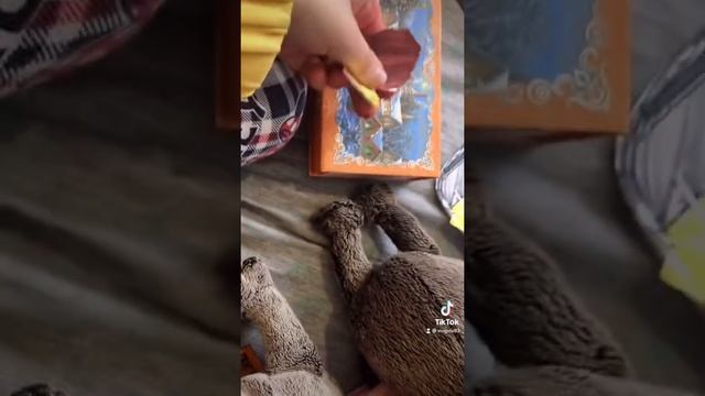 Наше утро с басиками и с Китти просите что короткое видео🥺💞💖 смотреть онлайн