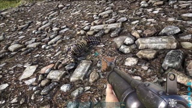 Ark Survival Evolved Archaeopteryx Nasıl Evcilleştirilir?/Taming A'dan Z'ye Tüm Hayvanlar смотреть онлайн