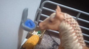 шляйх лошади счастье новенькой 4 серия