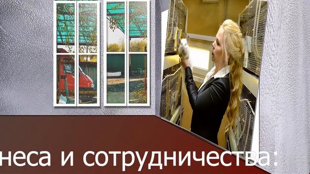 Начните бизнес с Ретас смотреть онлайн