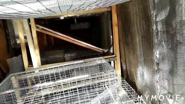 Маточно-відгодівельна клітка на 6 відділеннь смотреть онлайн