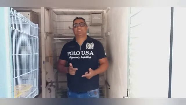 DEPOIS QUE CALOPSITA BOTA , QUANTO TEMPO DEMORA PRA SAIR FILHOTES ? ASSISTA AO VÍDEO E ENTEND смотреть онлайн