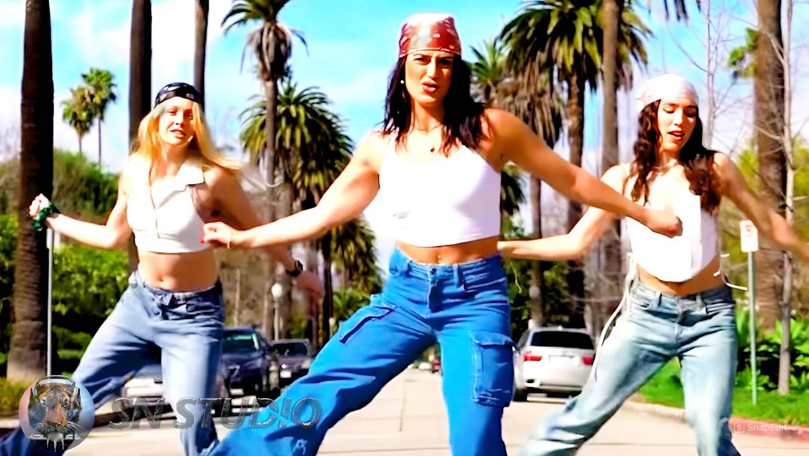 ♫ Katy Perry - California Girls (Dj Edits Remix SN Studio Remake) ♫ Shuffle Dance Video смотреть онлайн