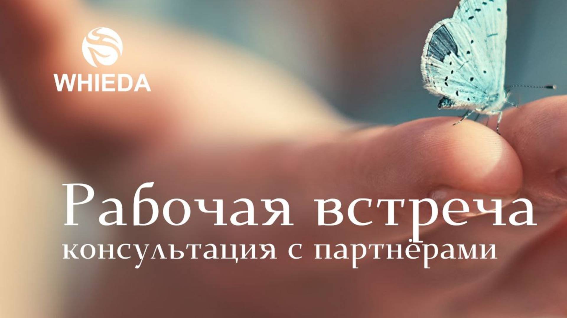 Как превратить навыки массажа в успешный прибыльный бизнес смотреть онлайн