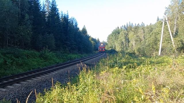 ТЭП70БС-317, ТеплоЛасточка, ст.Красный Сокол. смотреть онлайн