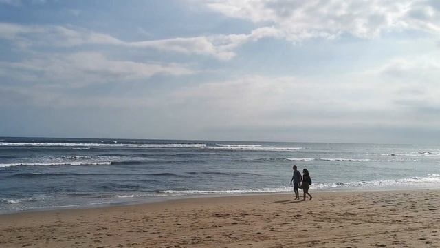 How's life in Canggu Bali | Batu Bolong Beach Bali Indonesia смотреть онлайн