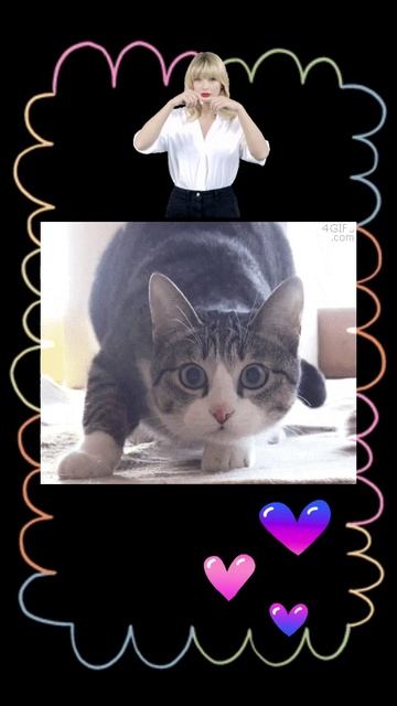 С Днём всех влюблённых от phantom • paw ♡