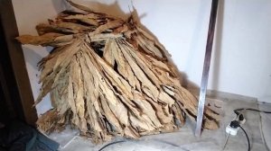 Естественная Ферментация Табака