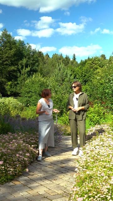 Астра. Самые интересные сорта смотреть онлайн