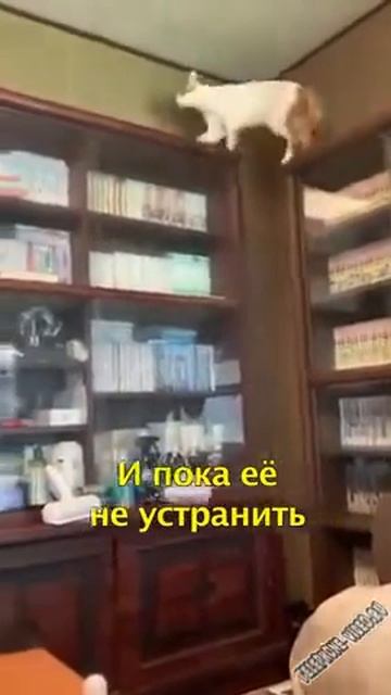 самые милые существа смотреть онлайн