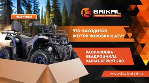 Что внутри коробки с ATV? Распаковка квадроцикла BAIKAL Беркут 200!