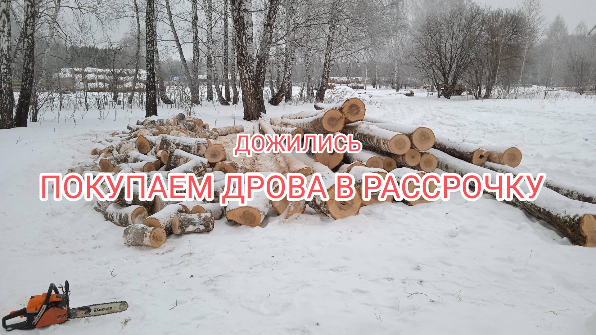 Живем в лесу а дрова покупаем уже в рассрочку смотреть онлайн